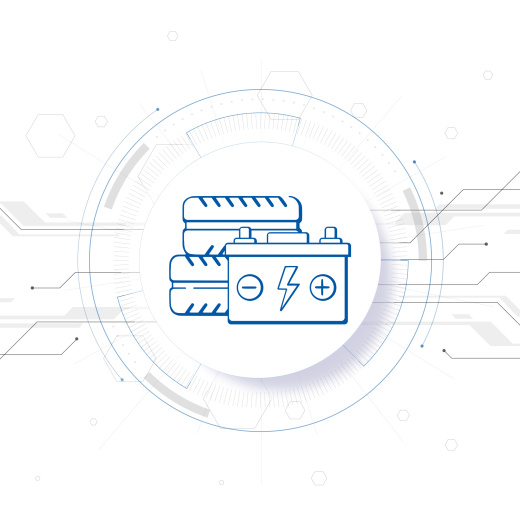 Модуль "СофтСервис:Учет шин и аккумуляторов 8"