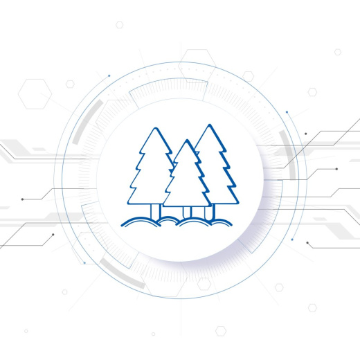 СофтСервис:Лесное хозяйство 8